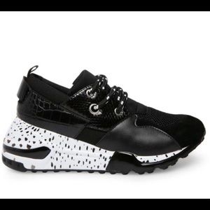 In search of Steve Madden Black white leopard